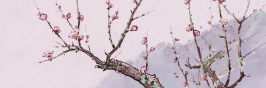 s e n's banner