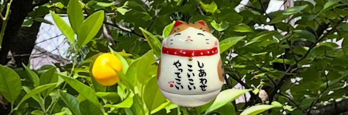 彩空⌒🌟's banner