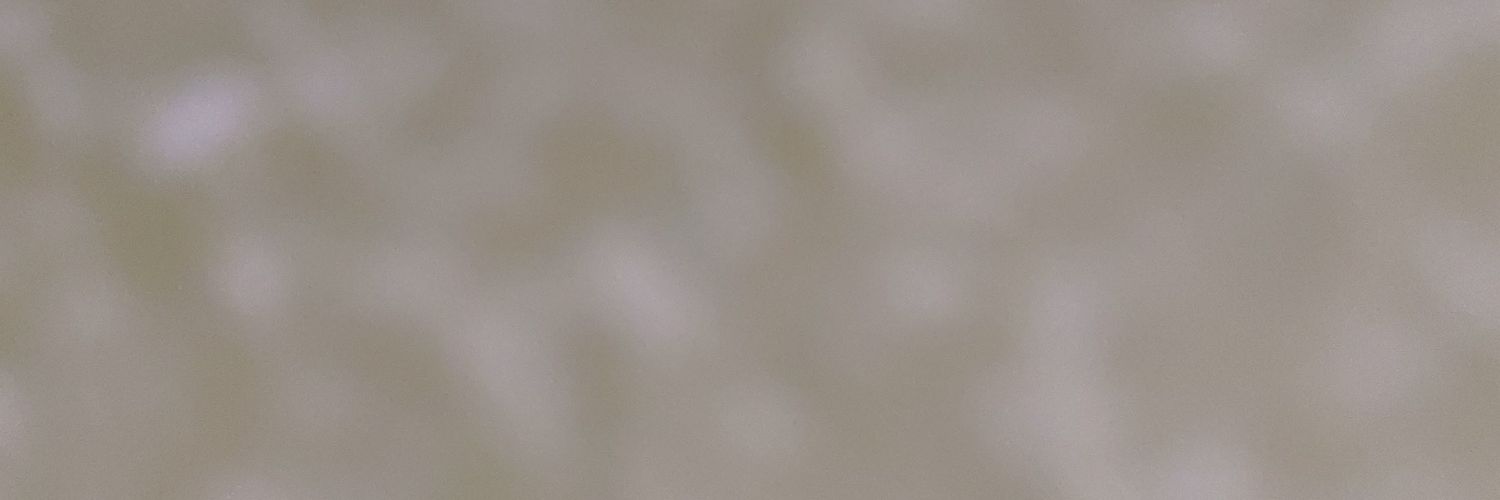 Jani Sissy 🏳️‍⚧️'s banner