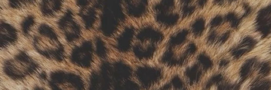 luna bunny's banner