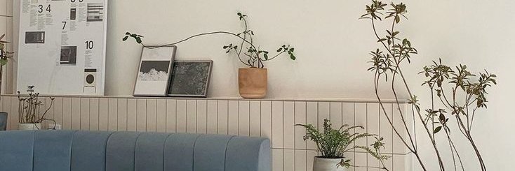 Ana's banner