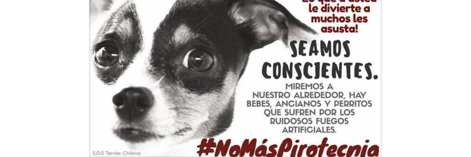 #LeyMilagros🐶's banner