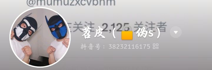 苕皮's banner