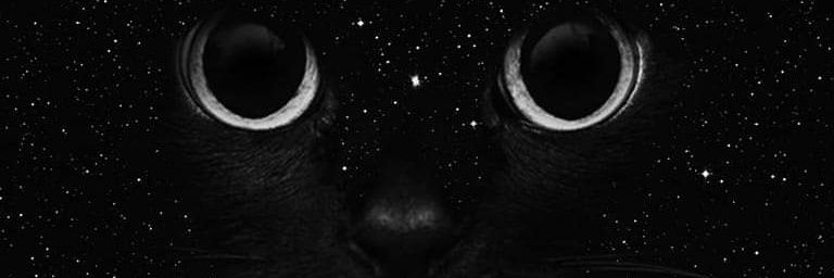 👣 ℕ𝕦𝕕𝕚𝕤𝕥 𝕁𝕒𝕞𝕚𝕖 👣's banner