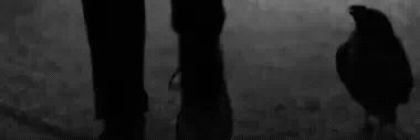 Baron von Hoch 🔥👌💀's banner