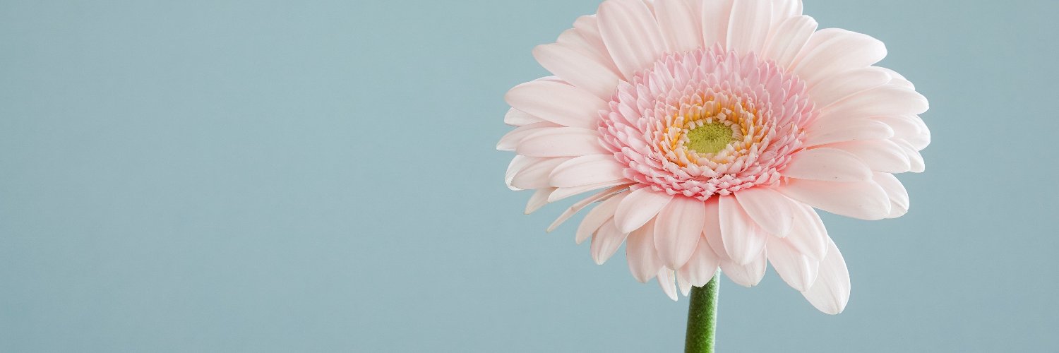 フェミニンおにいさん's banner