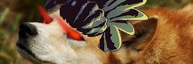 YungDingo's banner