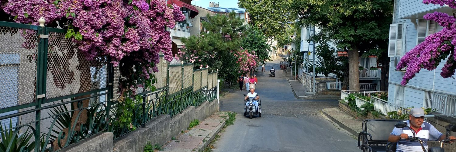 Songül Gültekin's banner