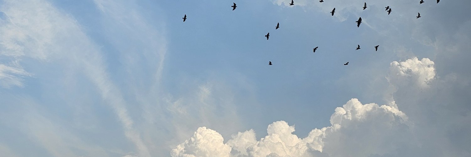 Harshit's banner