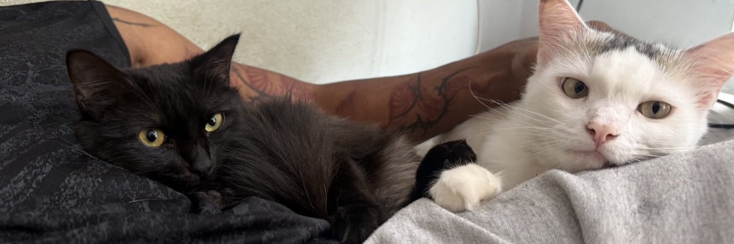 cats and tatts's banner