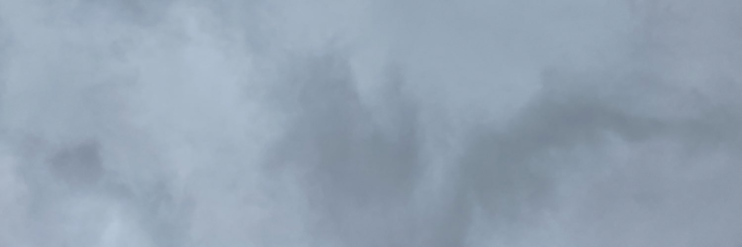 YANI's banner