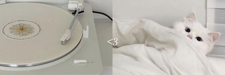 Jadee's banner