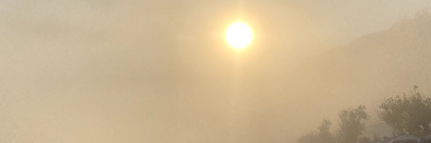 dynnej_'s banner