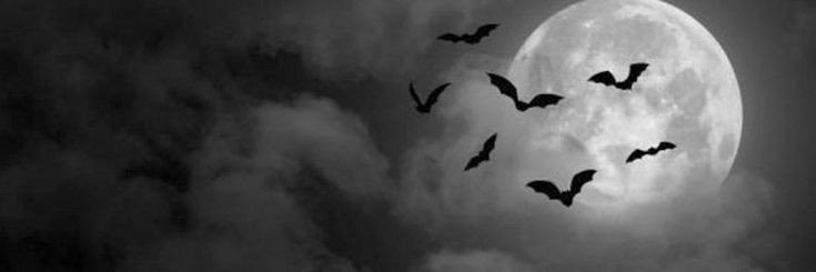𝙏𝙖𝙧𝙚𝙦 ☾'s banner