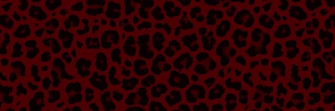 kai ᶻ 𝗓 𐰁 .ᐟ's banner