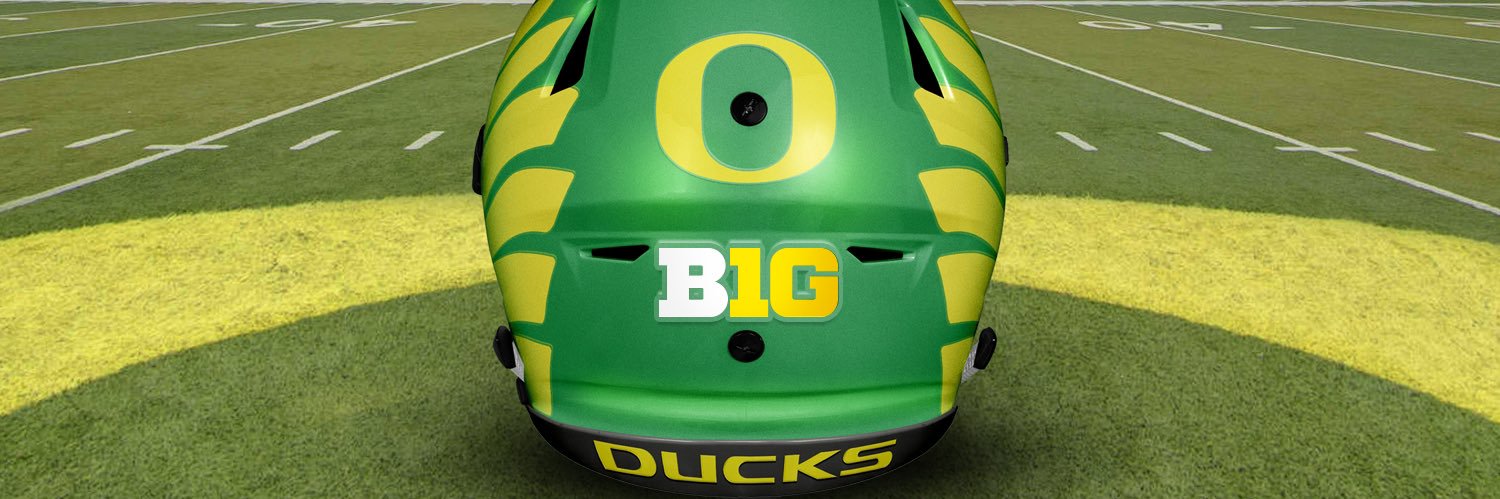 Ducks Rising's banner