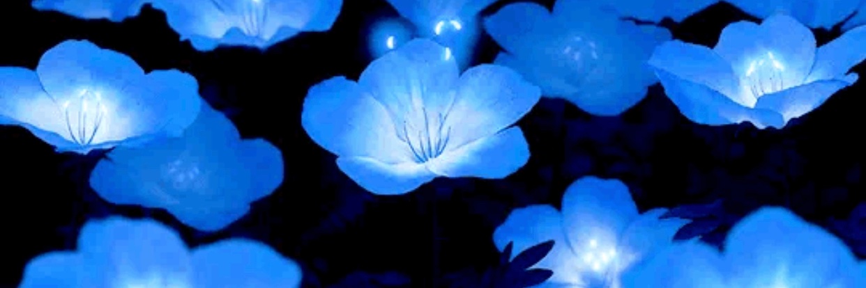 ♡【𝓶𝓮𝓵𝓸𝓭𝔂】♡'s banner