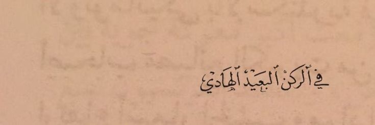 مـْـْْـْيمـْـْْـْا🍂's banner