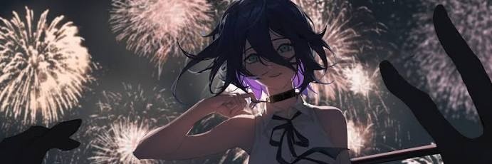 stelle's banner