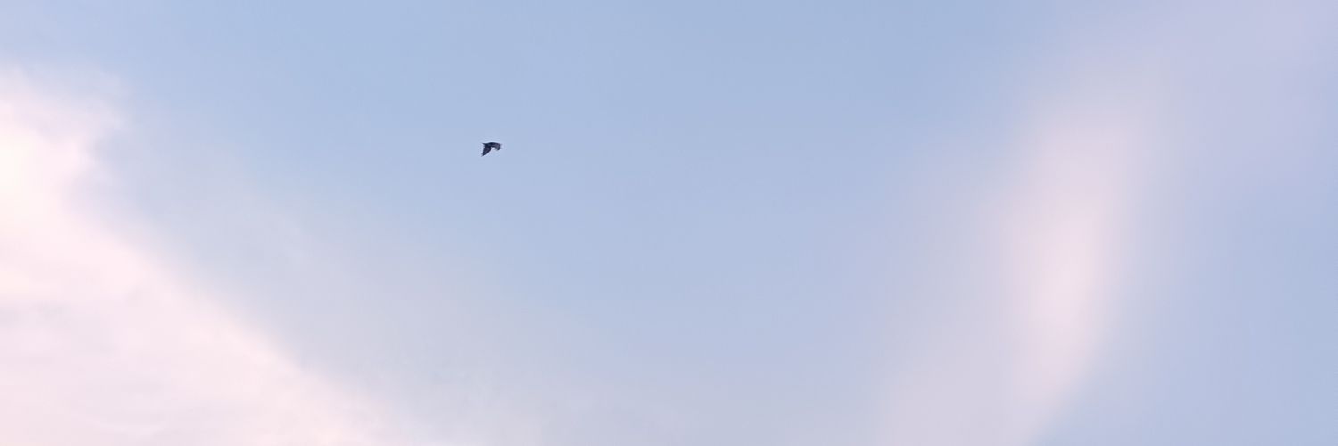 Airjagut 🐶's banner
