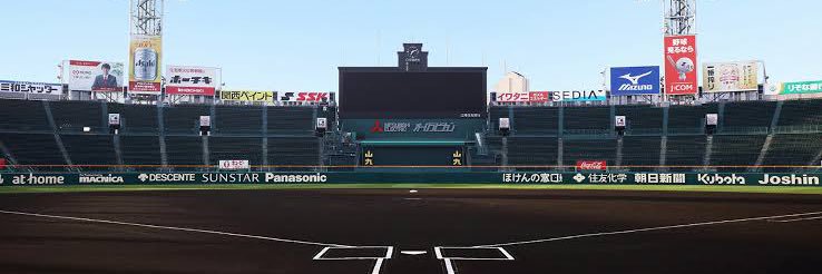 はやぽん🐯's banner