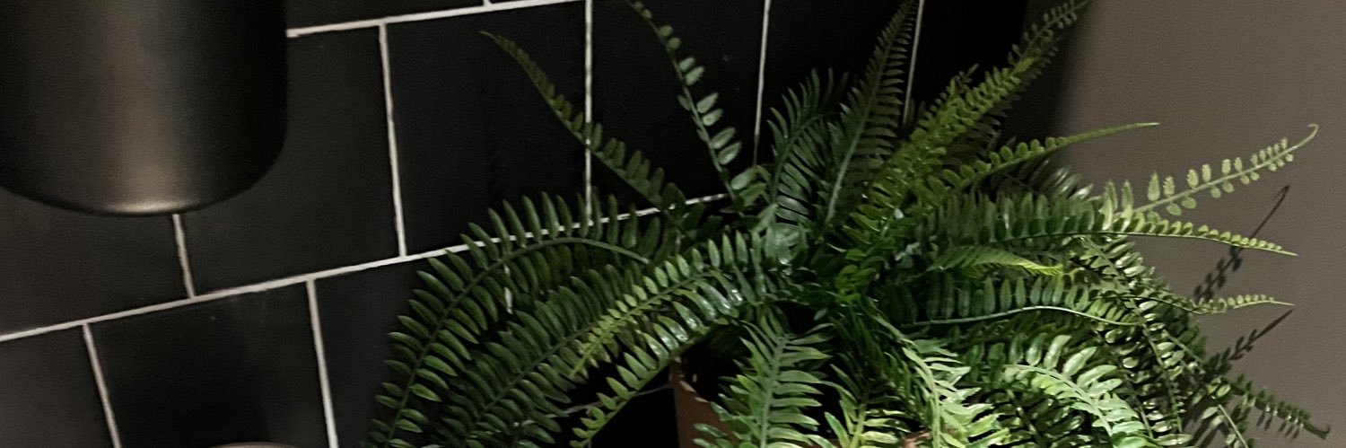 UrrSoftBoyfie's banner
