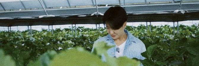 🦋's banner