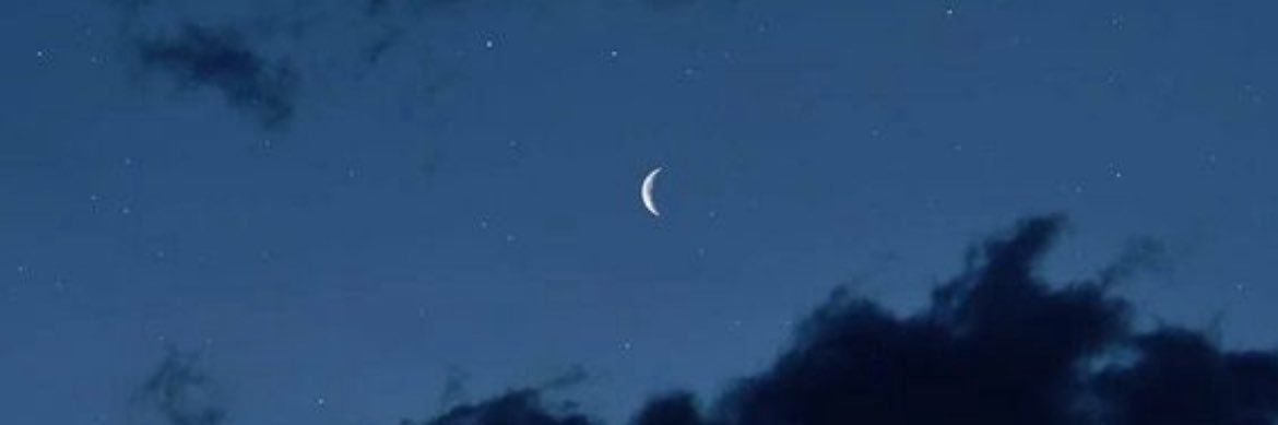 luna • leviticus pilled's banner