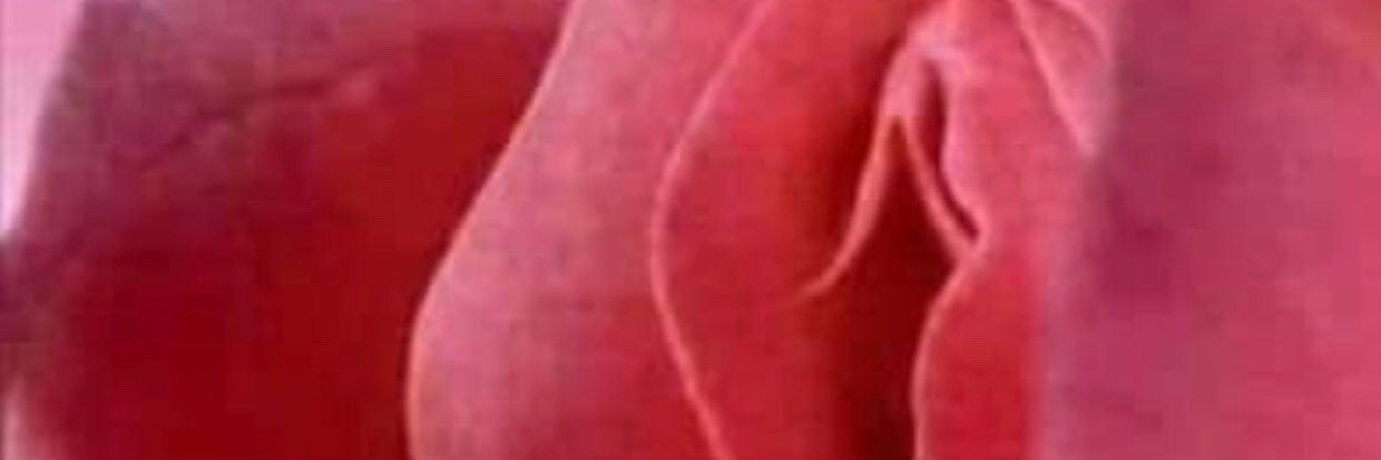 dasi sex's banner