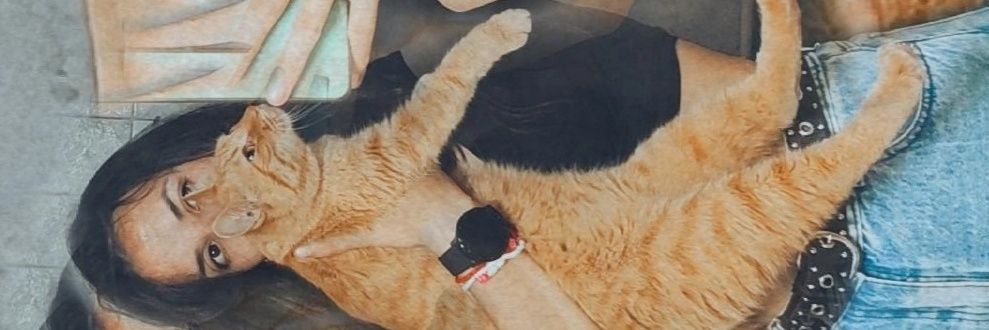 Sabri🧸's banner