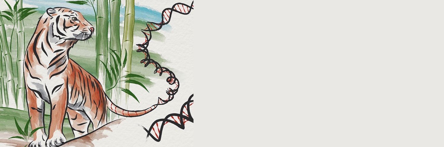 Masahiro TORASAWA, MD. PhD.'s banner