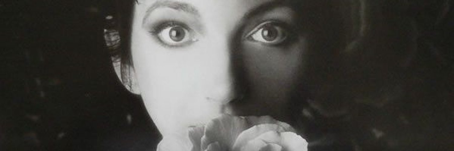 nosferatu's banner