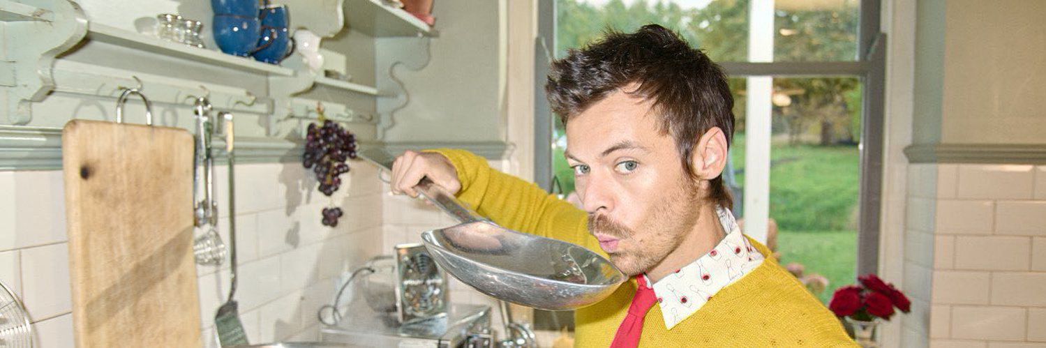 harry styles feeds's banner