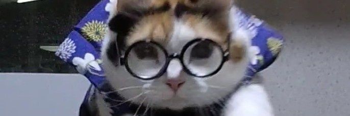 猫じゃらし's banner