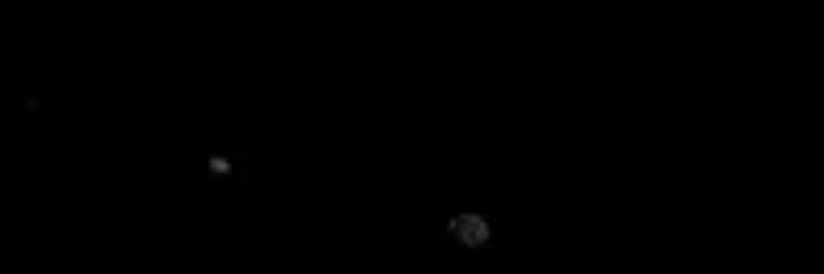 𝓟𝓘𝓝𝓚's banner