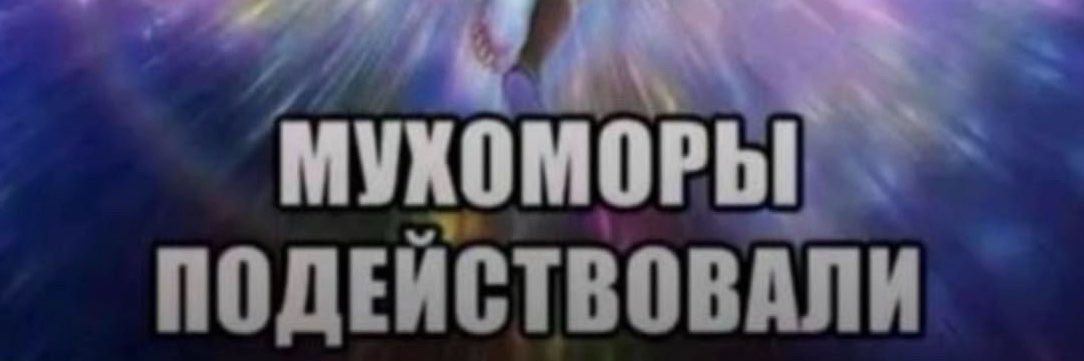 Pelmenick🎭 𝑆𝑝𝑜𝑜𝑘𝑦𝑟𝑒𝑡𝑡𝑜's banner