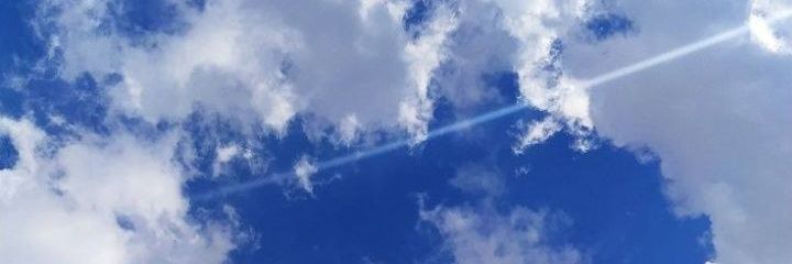 Vicø's banner