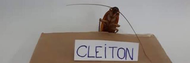giovanny's banner