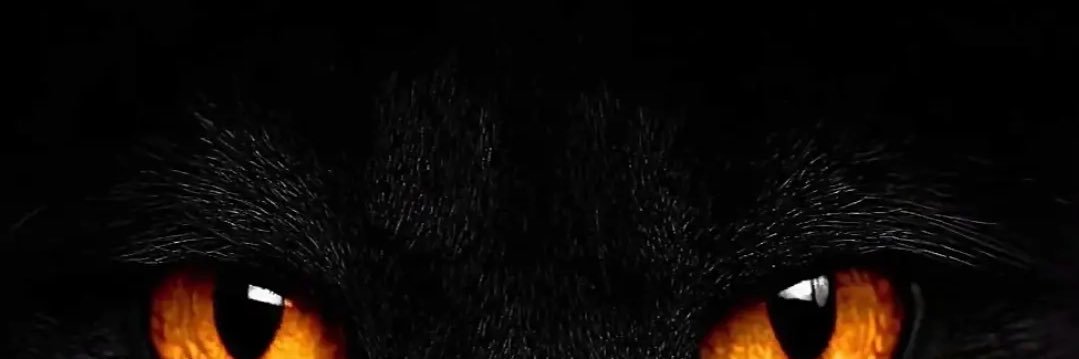 hiroclips✨'s banner