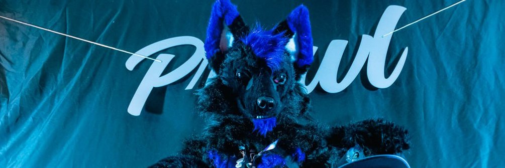 NocturneWolf's banner