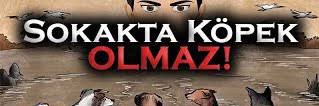 Sokakta Köpek Olmaz's banner