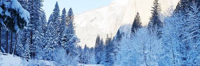 ❄️ Weather_tr ❄️'s banner