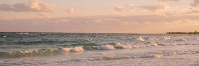 ☆'s banner