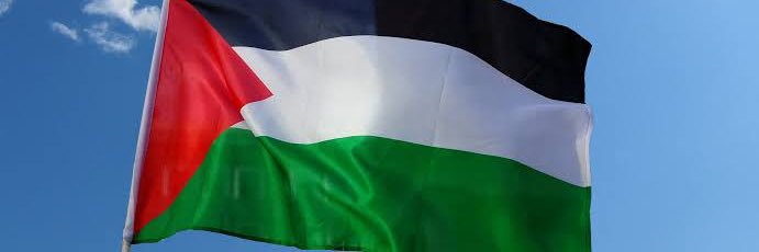 Fatima Triki فاطمة التريكي's banner