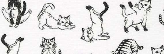 audrey's banner