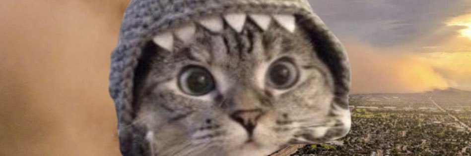 SrPepe 🥷🪖's banner