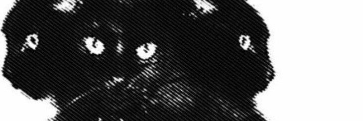 ace's banner