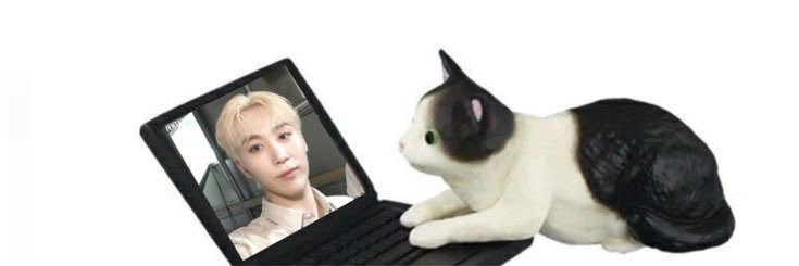 lia ⋆˚꩜｡'s banner