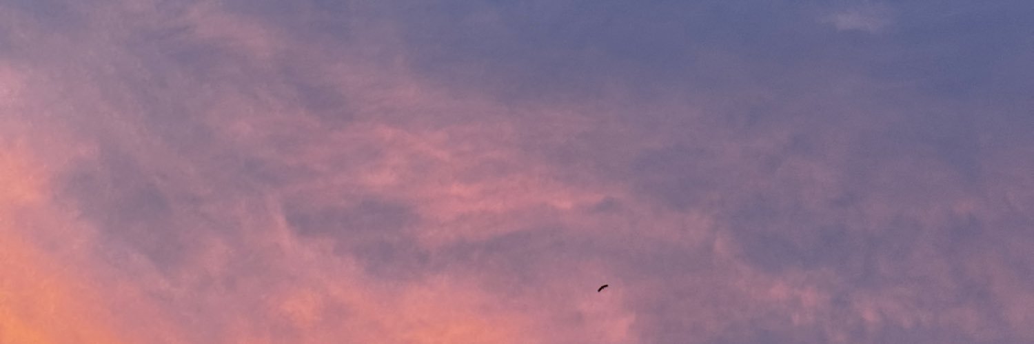 🌻Nancy🌻's banner