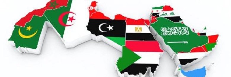 المغرد العراقي's banner